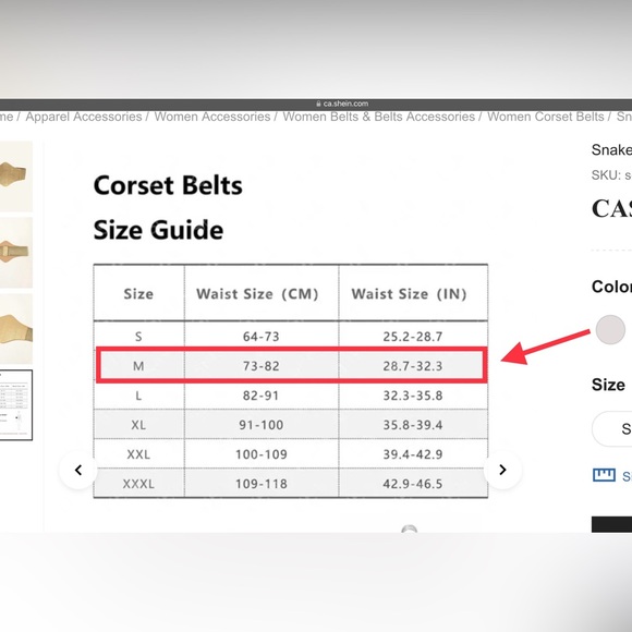Women’s Shein gold snakeskin embossed corset belt (medium) - Picture 2 of 6